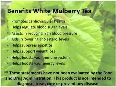 white mulberry tea health benefits.